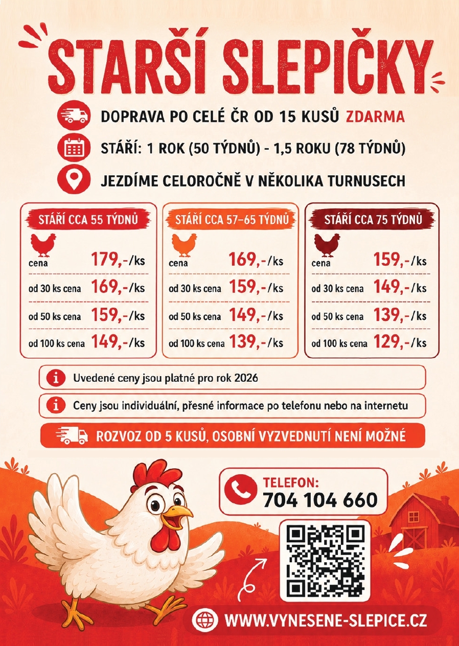 NABÍDKA STARŠÍCH SLEPIC S DOPRAVOU