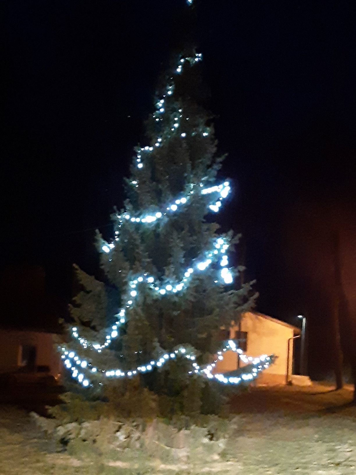 Rozsvícení vánočního stromu 2020