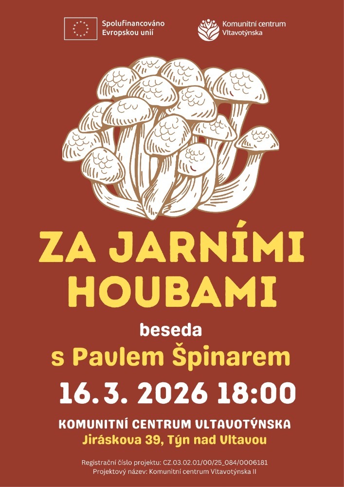 KOMUNITNÍ CENTRUM VLTAVOTÝNSKA