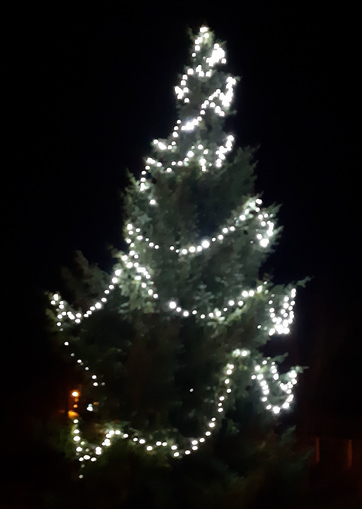 Rozsvícení vánočního stromu 2020